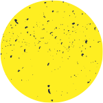 Mở rộng và đẩy mạnh giáo dục AI cho mọi đối tượng